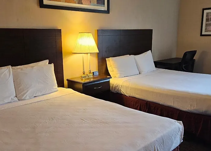 Bellis Inn