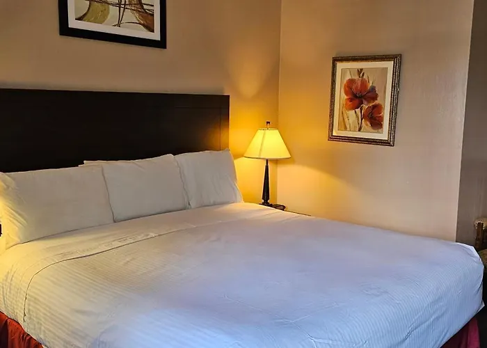 Bellis Inn